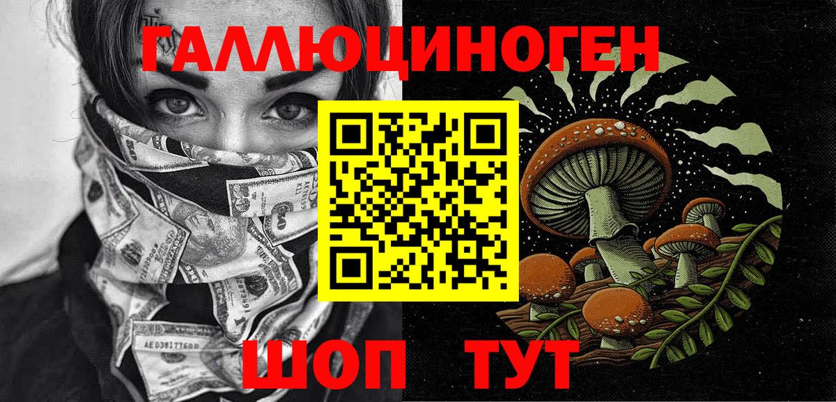 Галлюциногенные грибы Psilocybe  купить закладку  Галлюциногенные грибы Magic Shrooms  Вязники  Вход с VPN 